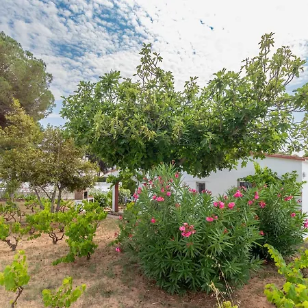 Tatil Evi Giovanni